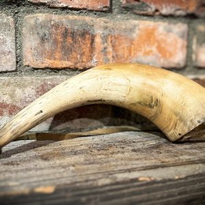 Various Antique Powder Horns - Image 2