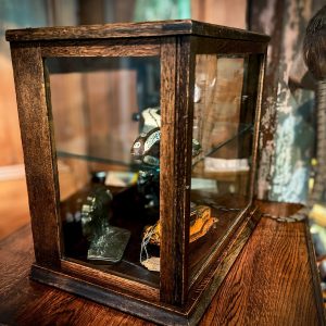 Antique Veterinarian Glass Cabinet - Image 2