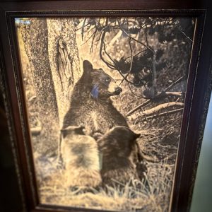 Antique Bear Photograph Framed - Image 2