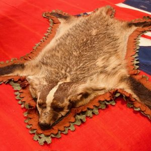 Vintage Badger Taxidermy 345.00CND